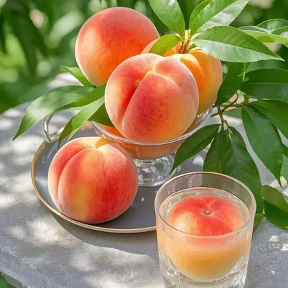 🍑The Ultimate Backyard Peach Duo: Giant Juicy Variety - Begin Your Home Orchard Journey Today-BP